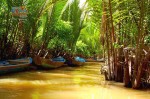 Вьетнам. Дельта реки Меконг