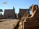 Египет. Храм в Фивах. Luxor. Аллея сфинксов.